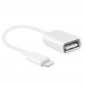 ADAPTADOR APPLE OTG LIGHTNING A USB APPLE 06984