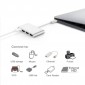 ADAPTADOR USB 3.1 TIPO C A HUB CON 2xUSB 2.0 1 Y 1xUSB 3.1 TIPO C | COLOR PLATA/SILVER OEM 07877