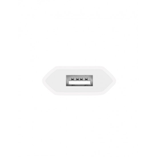 CARGADOR USB 1A BLANCO | 6204B IDUSD 03956 
