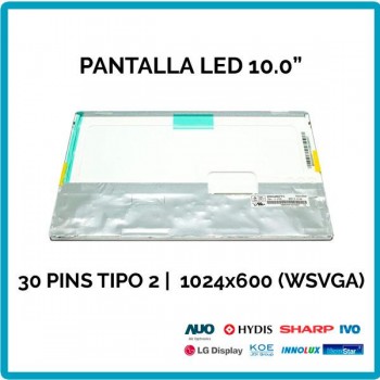 Pantalla 10.0" | SONY VAIO | PCG-21313M