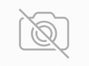 DELL LATITUDE 5320